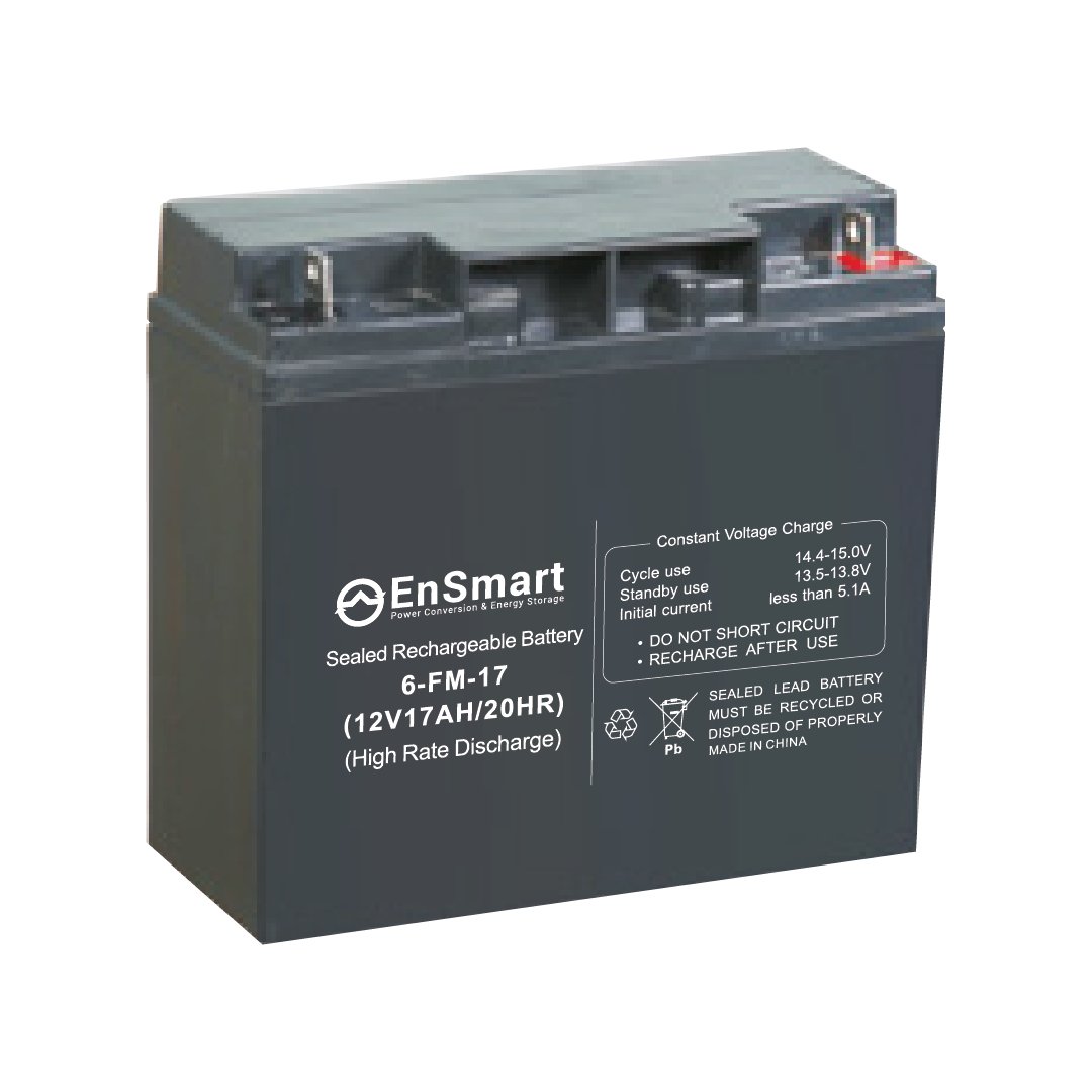 Battery 17 12. Аккумулятор AGM 6-fm-17 12v 17ah. Аккумуляторная батарея 6-fm-17 12v17ah 12в /20hr. Аккумулятор 6-fm-17(12v 21ah/20hr). 6fm17 аккумулятор Cheng Yuan.